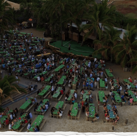 a group of people sitting at a beach