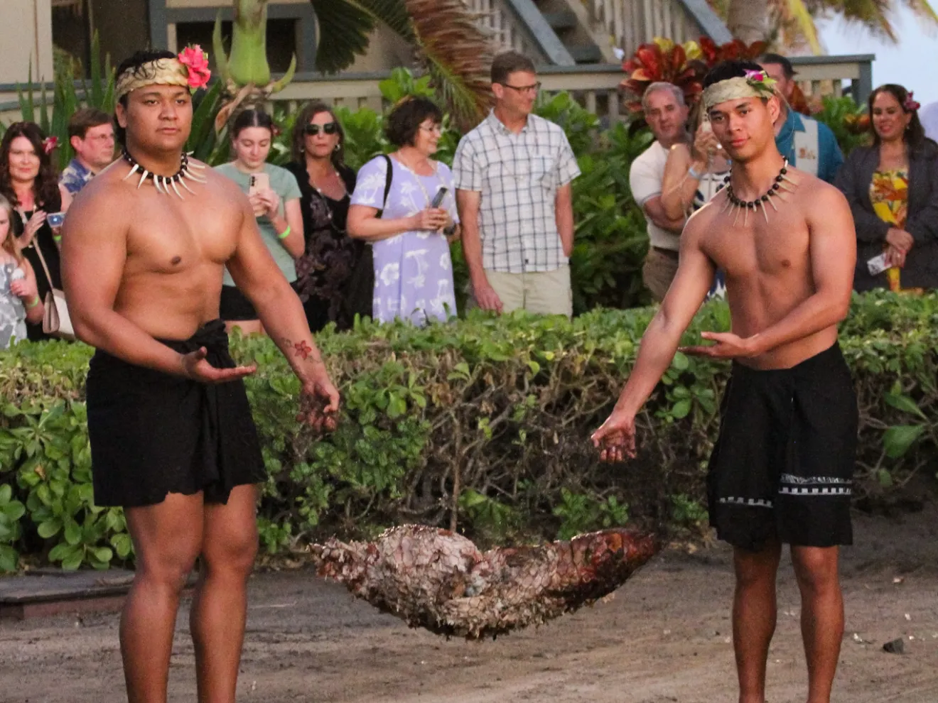 a group of people standing next to a palm tree